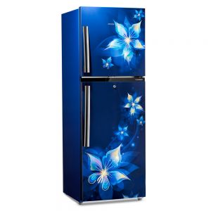 RFF2953EBEF 2 Door Refrigerator